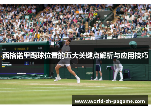 西格诺里踢球位置的五大关键点解析与应用技巧