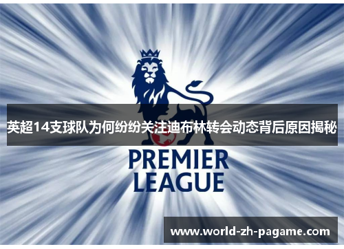 英超14支球队为何纷纷关注迪布林转会动态背后原因揭秘